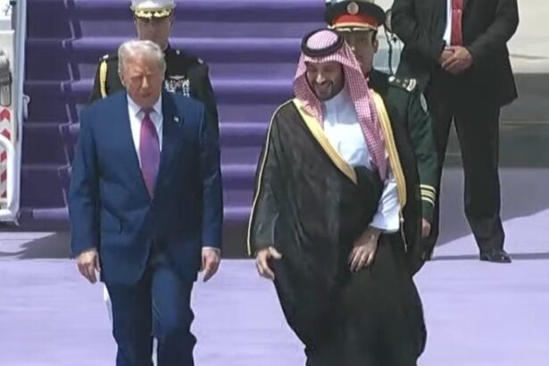  - برفيلكس - brieflex