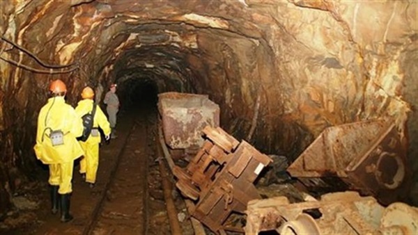  - برفيلكس - brieflex