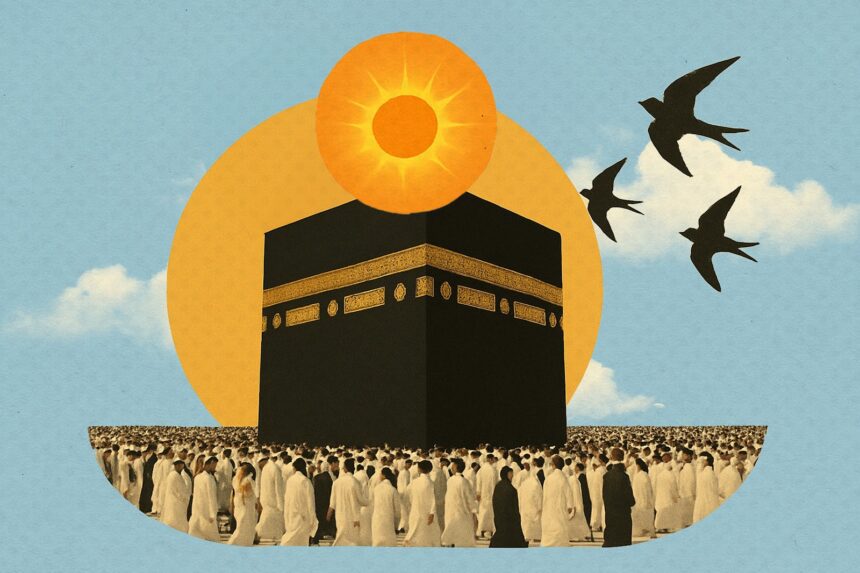  - برفيلكس - brieflex