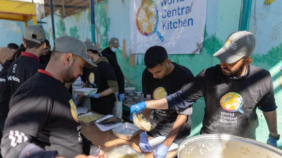  - برفيلكس - brieflex