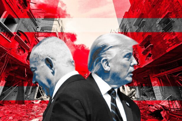  - برفيلكس - brieflex