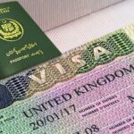  - برفيلكس - brieflex