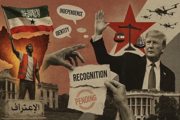  - برفيلكس - brieflex