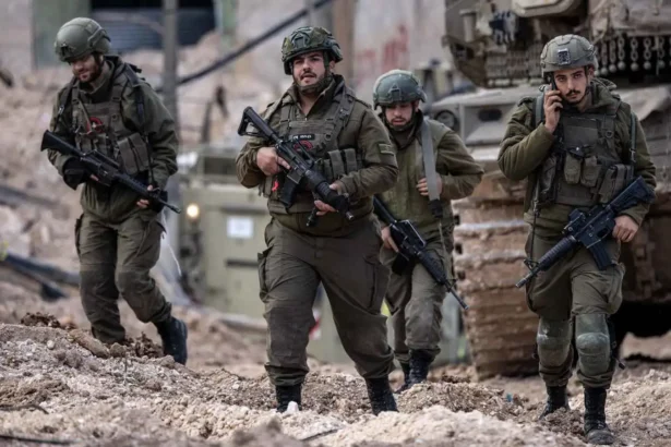  - برفيلكس - brieflex