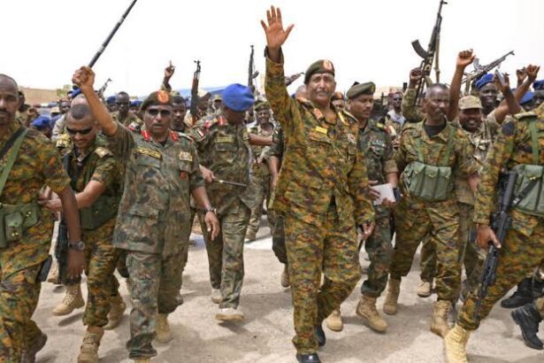  - برفيلكس - brieflex