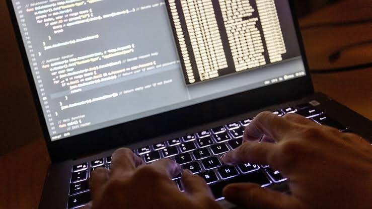  - برفيلكس - brieflex