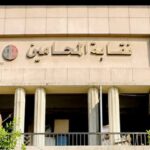  - برفيلكس - brieflex