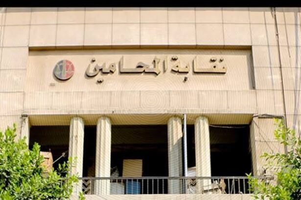  - برفيلكس - brieflex