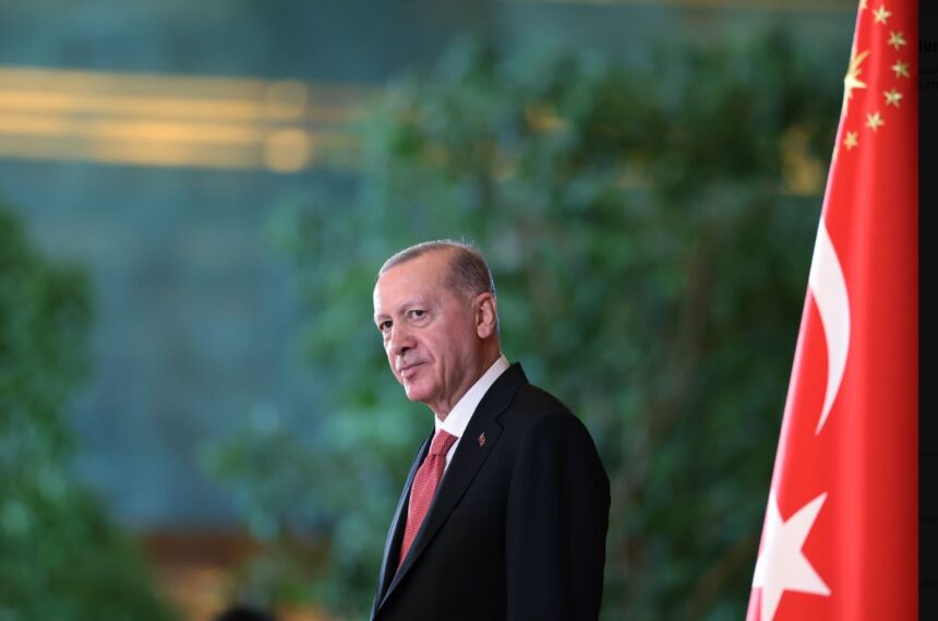  - برفيلكس - brieflex