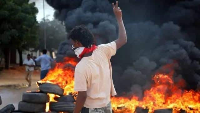  - برفيلكس - brieflex