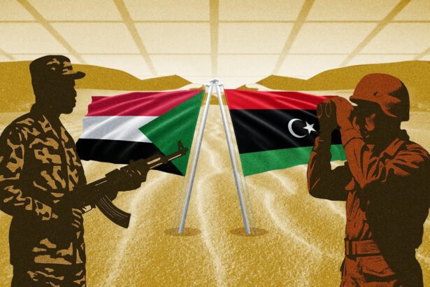  - برفيلكس - brieflex