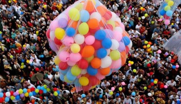  - برفيلكس - brieflex