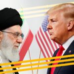  - برفيلكس - brieflex