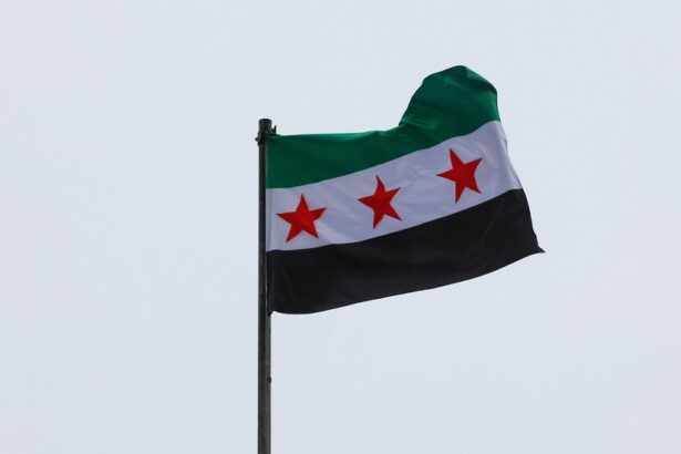  - برفيلكس - brieflex