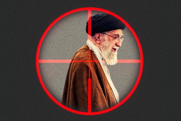  - برفيلكس - brieflex