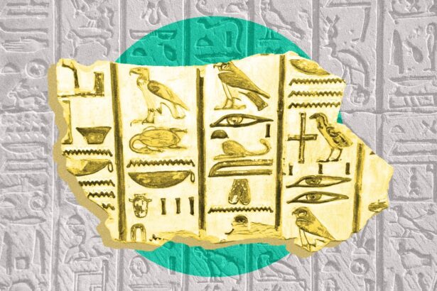  - برفيلكس - brieflex