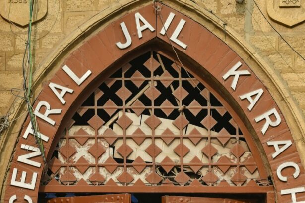  - برفيلكس - brieflex