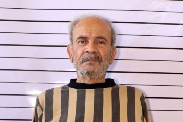  - برفيلكس - brieflex