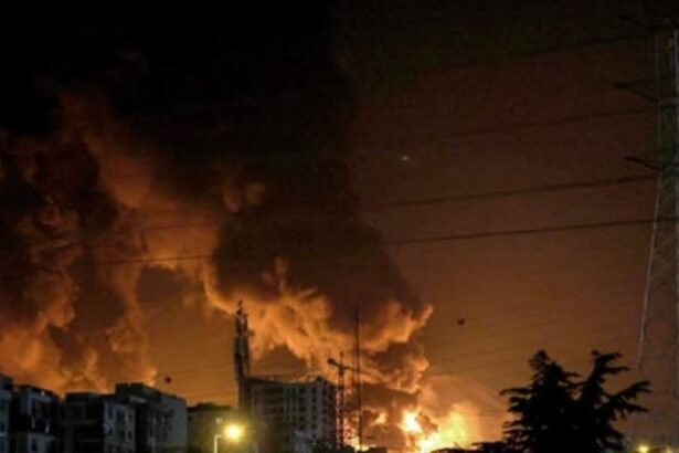  - برفيلكس - brieflex