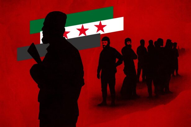  - برفيلكس - brieflex