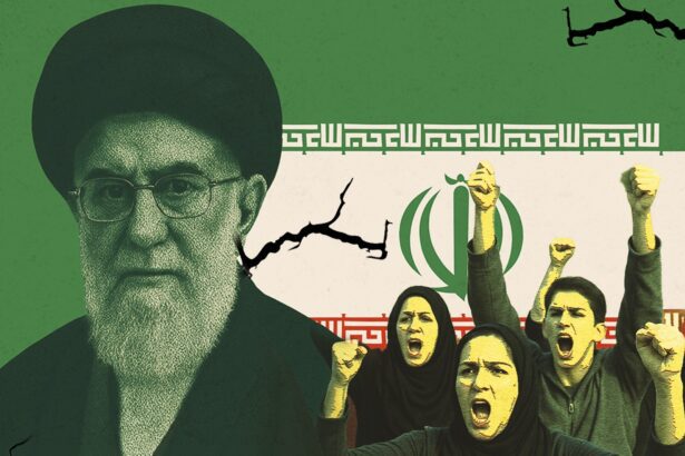  - برفيلكس - brieflex