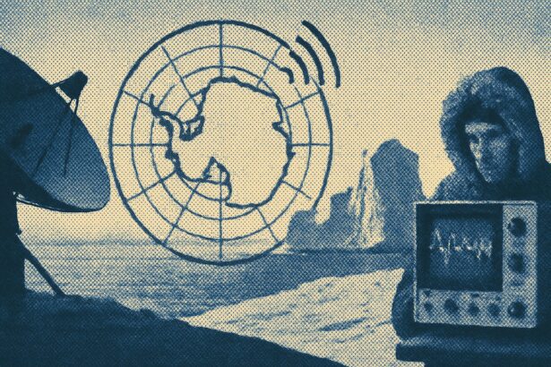  - برفيلكس - brieflex