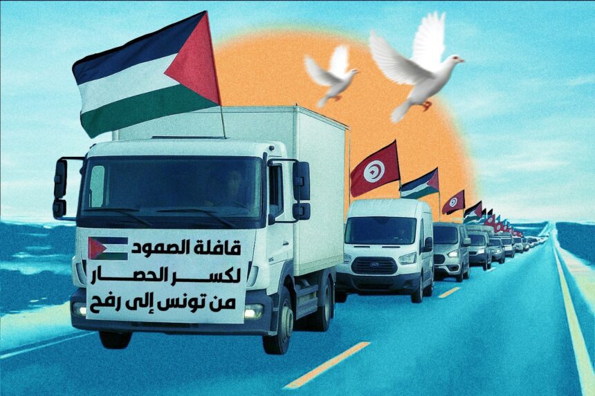  - برفيلكس - brieflex