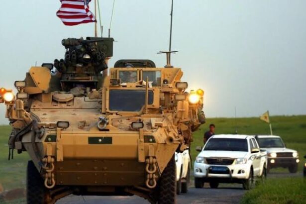  - برفيلكس - brieflex