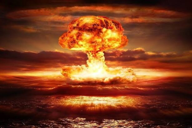  - برفيلكس - brieflex