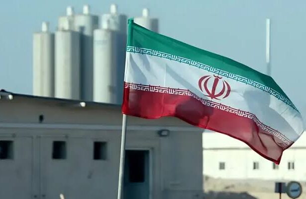  - برفيلكس - brieflex