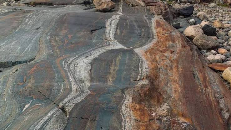  - برفيلكس - brieflex