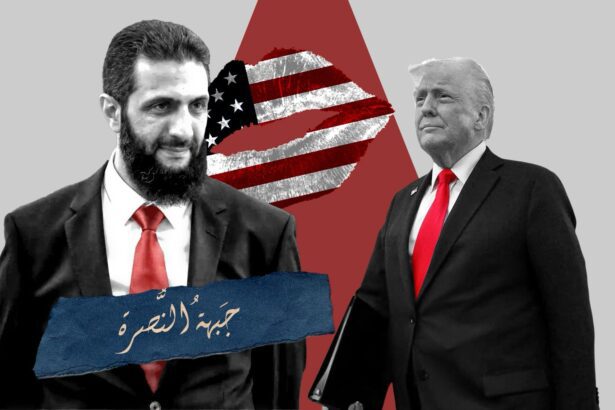  - برفيلكس - brieflex