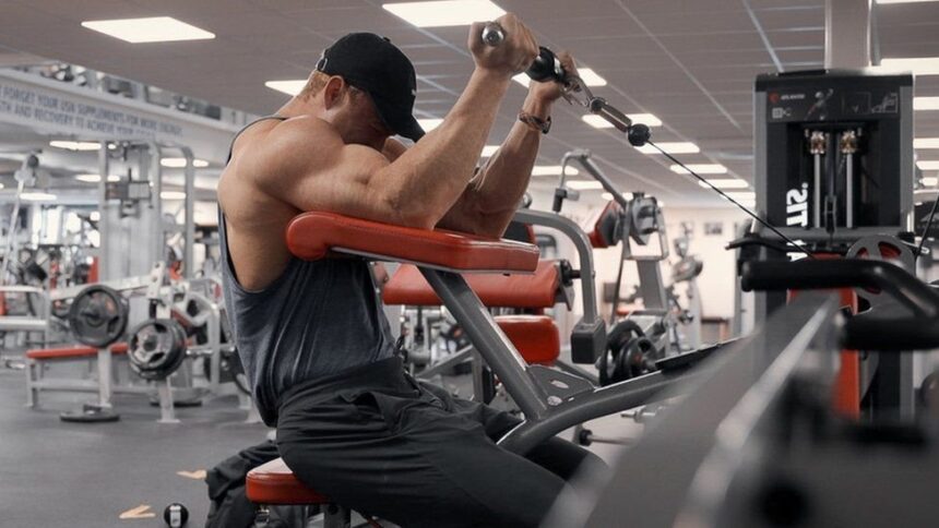  - برفيلكس - brieflex