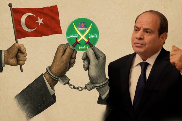  - برفيلكس - brieflex