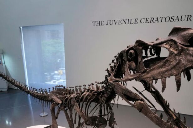  - برفيلكس - brieflex