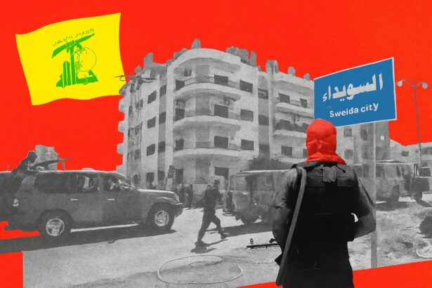  - برفيلكس - brieflex