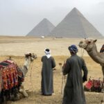  - برفيلكس - brieflex