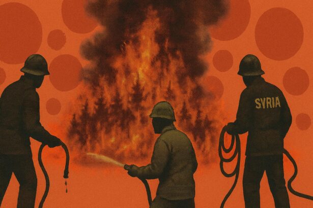  - برفيلكس - brieflex