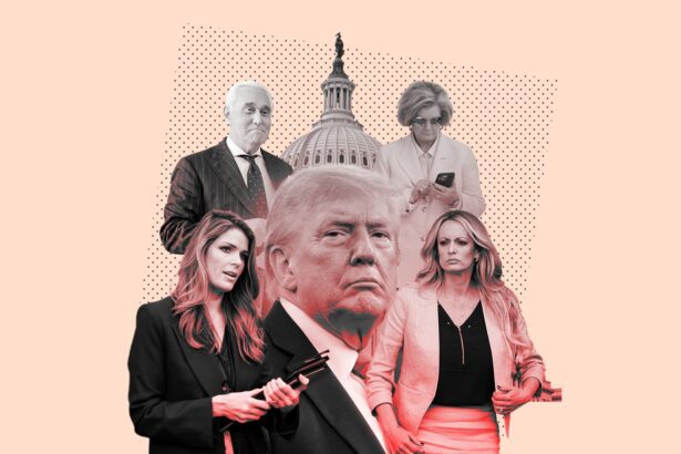  - برفيلكس - brieflex