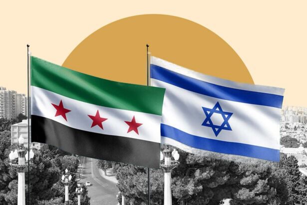  - برفيلكس - brieflex