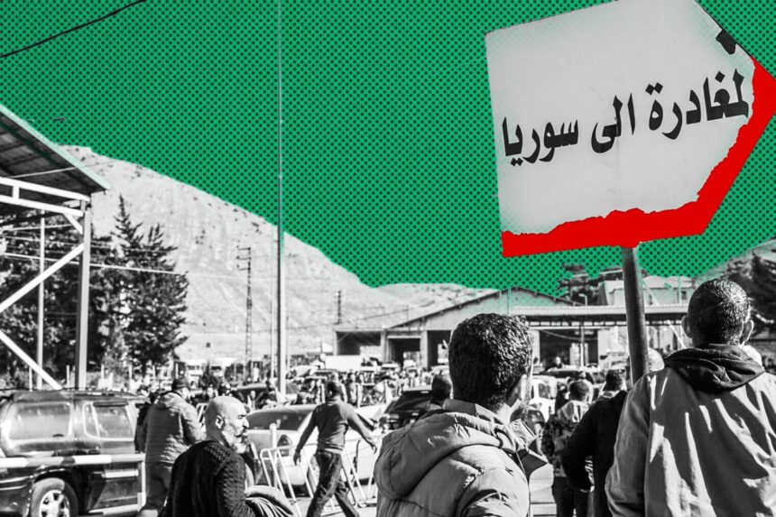  - برفيلكس - brieflex