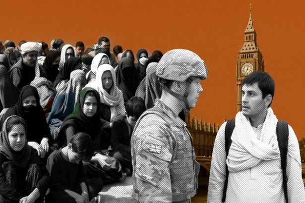  - برفيلكس - brieflex