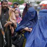  - برفيلكس - brieflex