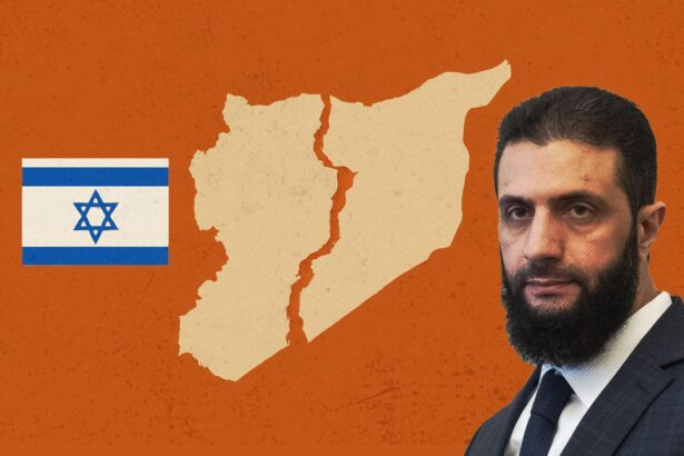  - برفيلكس - brieflex