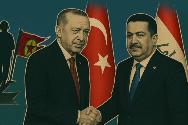  - برفيلكس - brieflex