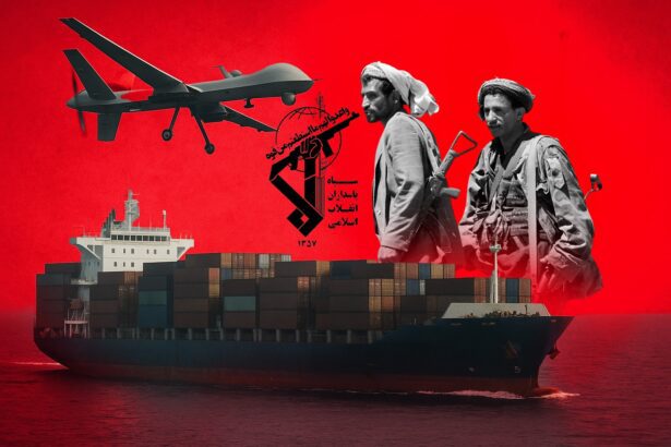  - برفيلكس - brieflex