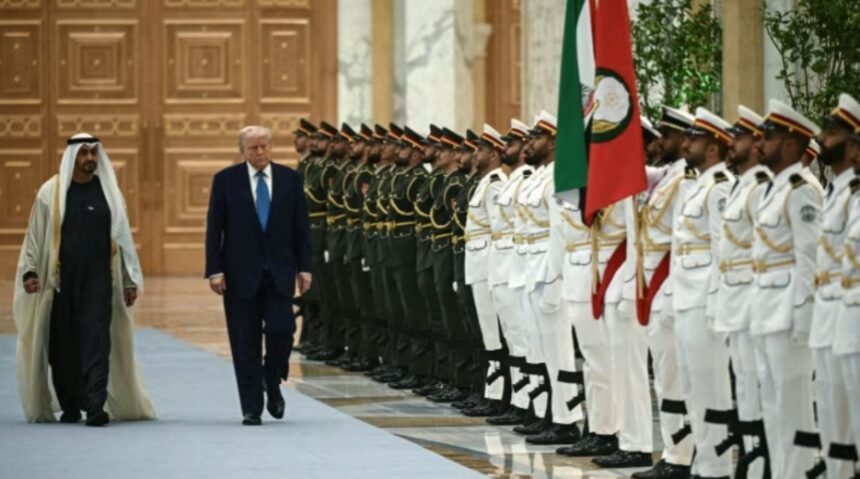  - برفيلكس - brieflex