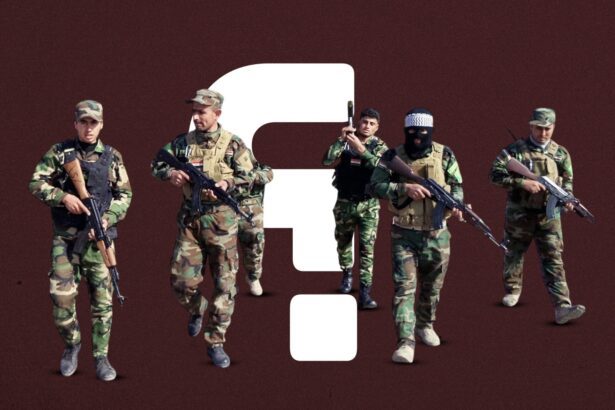  - برفيلكس - brieflex