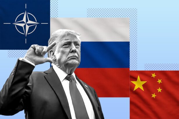  - برفيلكس - brieflex