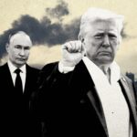  - برفيلكس - brieflex